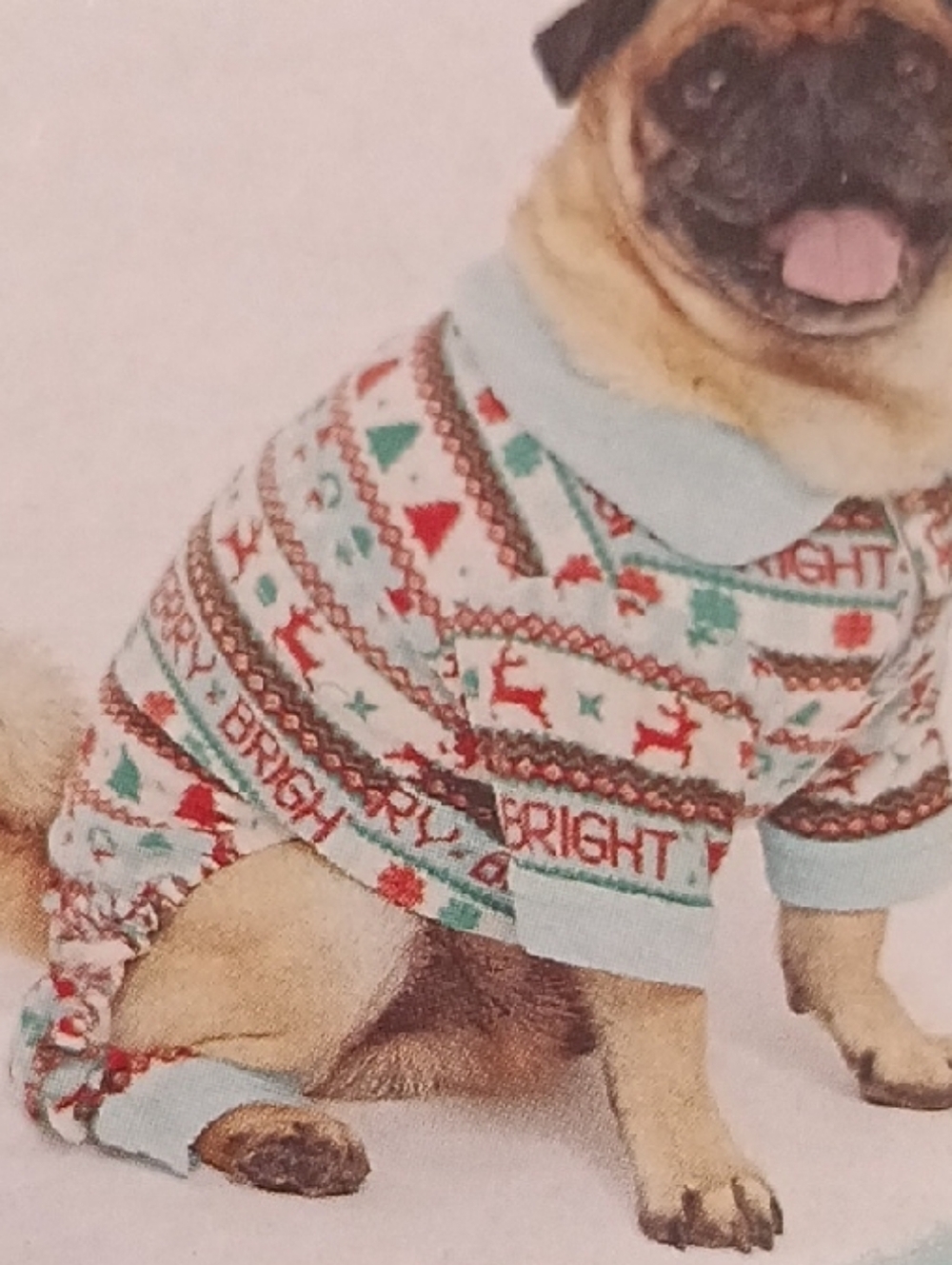 Holiday Dog  Pajama - Light Blue, Red & Green